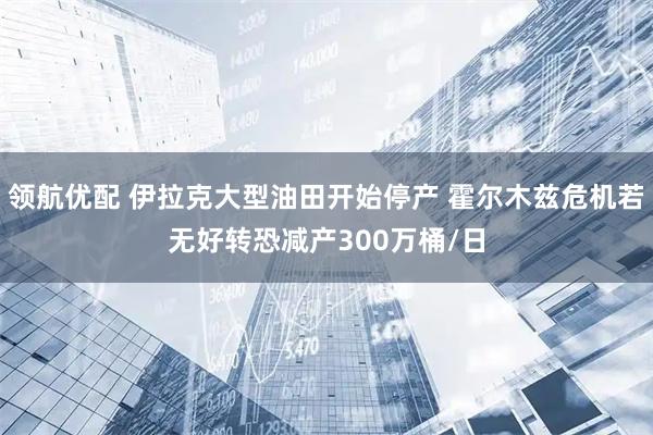 领航优配 伊拉克大型油田开始停产 霍尔木兹危机若无好转恐减产300万桶/日