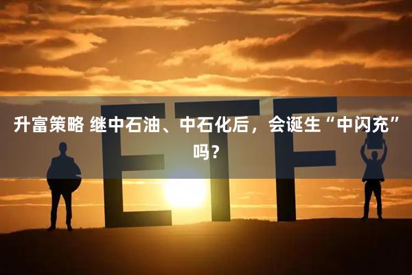 升富策略 继中石油、中石化后，会诞生“中闪充”吗？