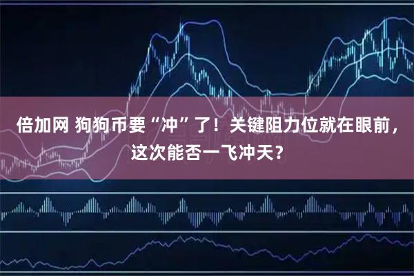 倍加网 狗狗币要“冲”了！关键阻力位就在眼前，这次能否一飞冲天？