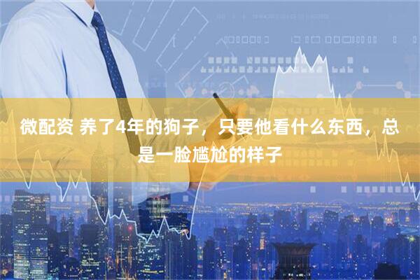 微配资 养了4年的狗子，只要他看什么东西，总是一脸尴尬的样子