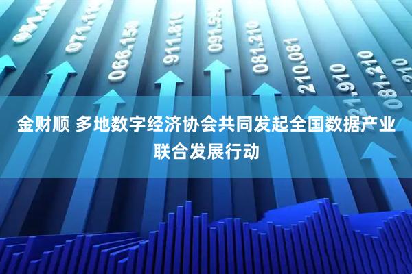 金财顺 多地数字经济协会共同发起全国数据产业联合发展行动