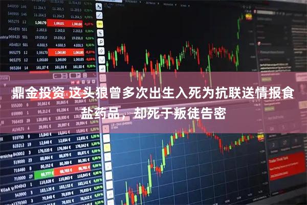 鼎金投资 这头狼曾多次出生入死为抗联送情报食盐药品，却死于叛徒告密