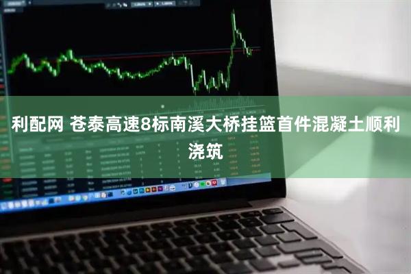利配网 苍泰高速8标南溪大桥挂篮首件混凝土顺利浇筑