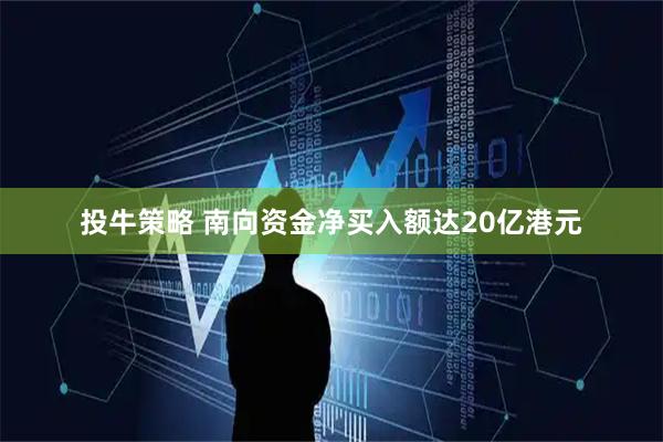 投牛策略 南向资金净买入额达20亿港元