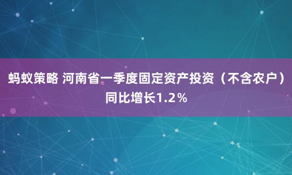 蚂蚁策略 河南省一季度固定资产投资(不含农户)同比增长1.2%