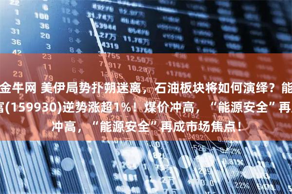 金牛网 美伊局势扑朔迷离,石油板块将如何演绎?能源ETF汇添富(159930)逆势涨超1%!煤价冲高,“能源安全”再成市场焦点!