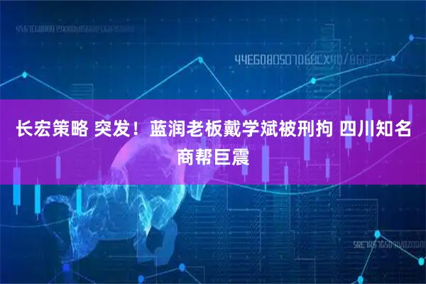 长宏策略 突发！蓝润老板戴学斌被刑拘 四川知名商帮巨震