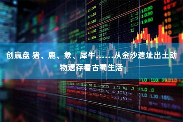 创赢盘 猪、鹿、象、犀牛……从金沙遗址出土动物遗存看古蜀生活
