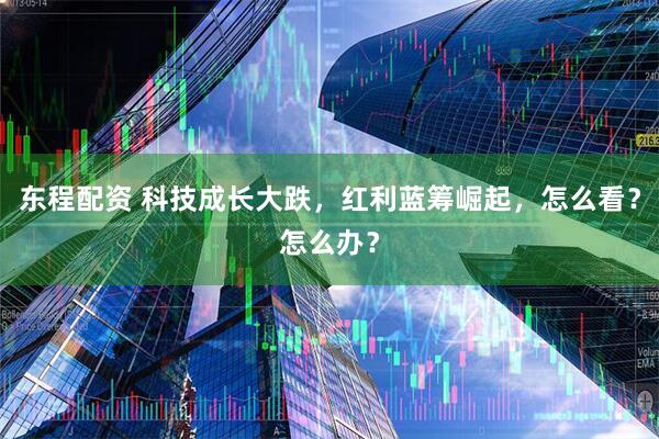 东程配资 科技成长大跌，红利蓝筹崛起，怎么看？怎么办？