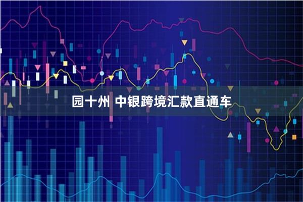 园十州 中银跨境汇款直通车