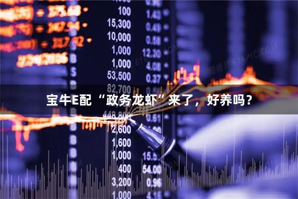 宝牛E配 “政务龙虾”来了，好养吗？