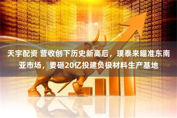 天宇配资 营收创下历史新高后，璞泰来瞄准东南亚市场，要砸20亿投建负极材料生产基地