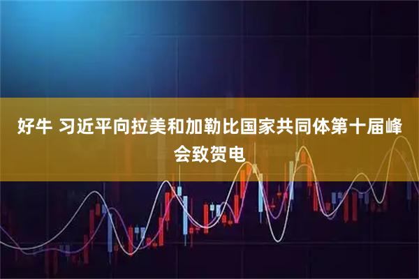 好牛 习近平向拉美和加勒比国家共同体第十届峰会致贺电