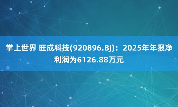 掌上世界 旺成科技(920896.BJ)：2025年年报净利润为6126.88万元