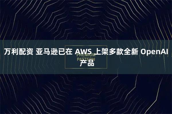 万利配资 亚马逊已在 AWS 上架多款全新 OpenAI 产品