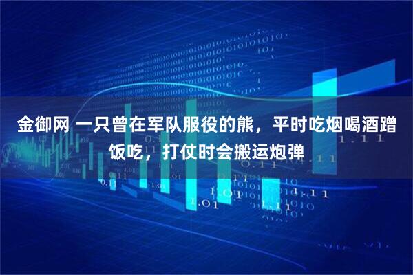 金御网 一只曾在军队服役的熊，平时吃烟喝酒蹭饭吃，打仗时会搬运炮弹
