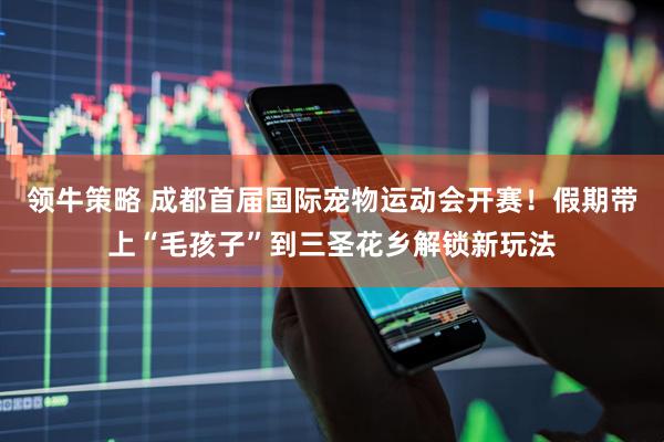 领牛策略 成都首届国际宠物运动会开赛！假期带上“毛孩子”到三圣花乡解锁新玩法