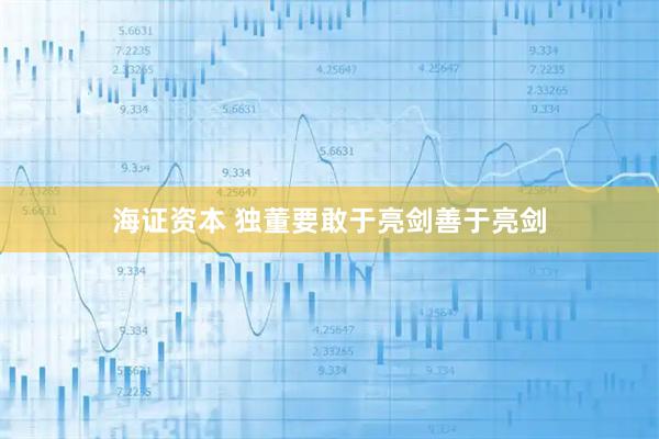 海证资本 独董要敢于亮剑善于亮剑