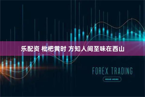乐配资 枇杷黄时 方知人间至味在西山