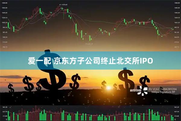爱一配 京东方子公司终止北交所IPO