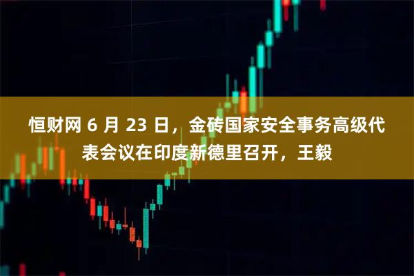恒财网 6 月 23 日，金砖国家安全事务高级代表会议在印度新德里召开，王毅