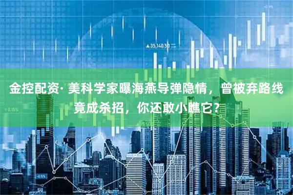 金控配资· 美科学家曝海燕导弹隐情,曾被弃路线竟成杀招,你还敢小瞧它?