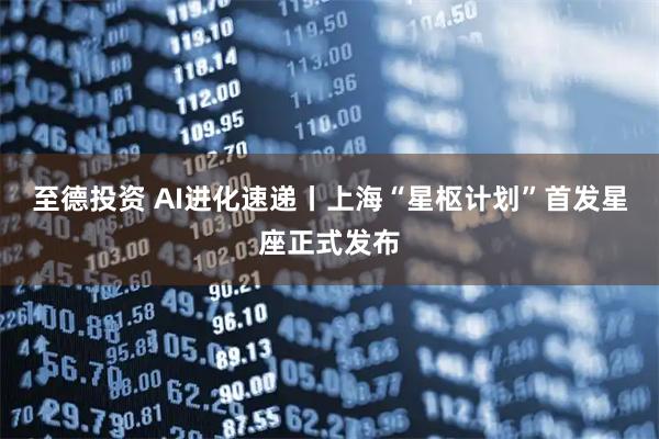 至德投资 AI进化速递丨上海“星枢计划”首发星座正式发布