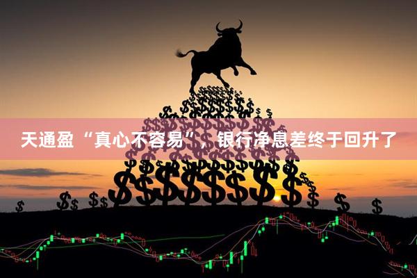 天通盈 “真心不容易”,银行净息差终于回升了